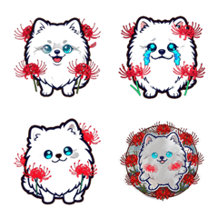 Neon Higanbana Cyber-Pomeranian