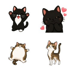kitaneko