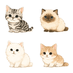Gatos | Emojis fofos de gatos