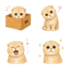 まんまる猫そらの毎日使える絵文字