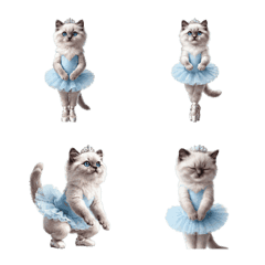 Kitten Ballerina's Greeting 2