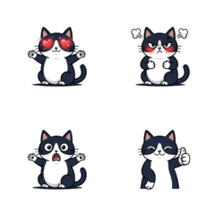 QQQ cat