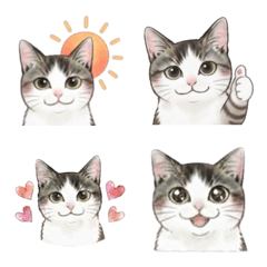 あんず 1