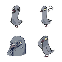 Hilarious Grey Pigeon