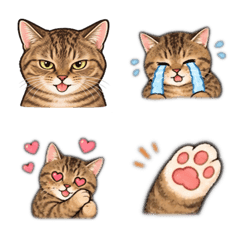 Maru & Sen from the Ishii Family