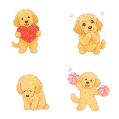 Fluffy Labradoodle Deluxe