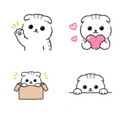 Scottish Fold Daily Emoji