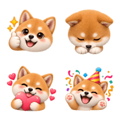 Every day with a Mame Shiba.
