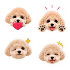 Toy Poodle Chat Emojis