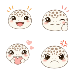 leopardgecko FunnyFace