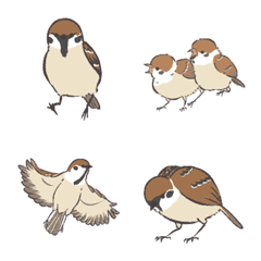 Sparrow Emojis