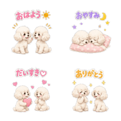 A clingy toy poodle 2026-08 Ver.