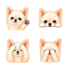 Fluffy Chihuahua's Everyday Emojis