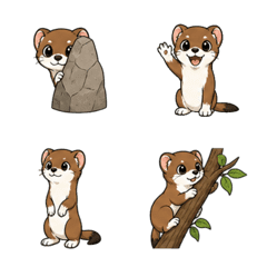 Okojo (Japanese Stoat)