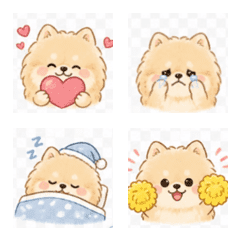 Cute & Chill Pomeranian