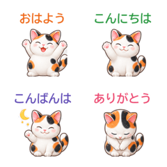 Cute Calico Cat Expressions