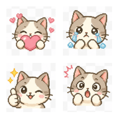 cute cat expression