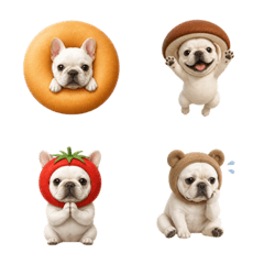 น่ารัก! เฟรนช์บูลด็อกสีขาว 1