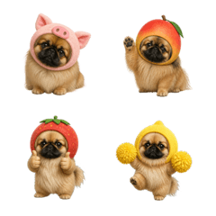 น่ารัก! ปักกิ่งสีน้ำตาลอ่อน 1