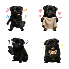 น่ารัก! ปั๊กสีดำ 2