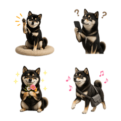 น่ารัก! ชิบะสีดำ 2