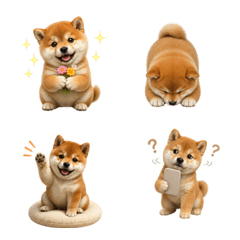 น่ารัก! ลูกสุนัขชิบะ 2