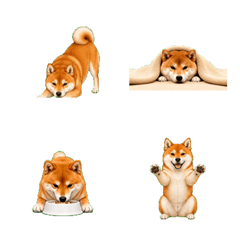 Natural Red Shiba Animated Emoji