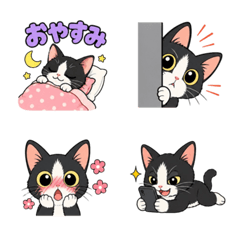 Cute Tuxedo Cat Everyday Emoji