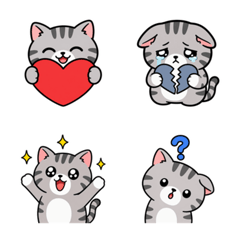 American Shorthair Cat Emo 3