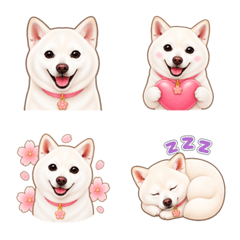 Hana the White Shiba Daily Emoji