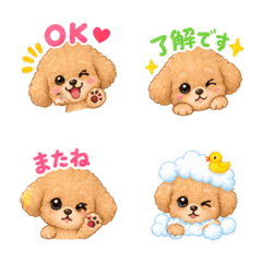 Toy Poodle  Cute emojis for everyday use