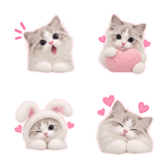 Fluffy Kitty