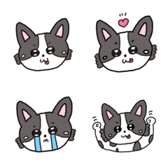 Chihuahua no ushiko