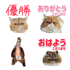 Chiku_and_suu_emoji
