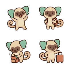 帆耳小狨猴｜朋友旅行聯絡