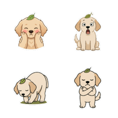 Leaf Head Chill Dog