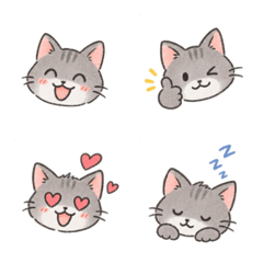 gray_cat