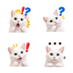 Kitty the White Odd-Eyed Cat Emoji