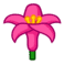 (lily)