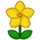 yellow flower (yellow flower)