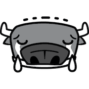 ลายที่ 9