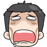 ลายที่ 29