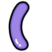 234