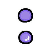 244