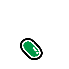 256