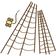 039