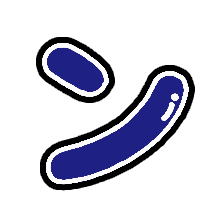 126