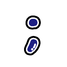 243