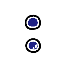 244