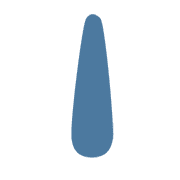 081